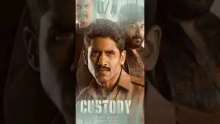 Custody movie review