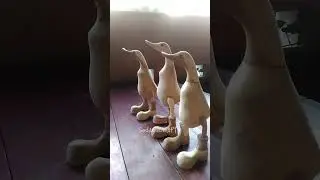 10 Pcs Wooden Duck Ornament Set | Bamboo Root Ducks with Boots | Rustic Indoor & Outdoor Decor 9.84
