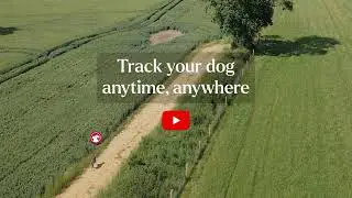 Introducing PetLinkGPS | Track Your Dog Anywhere, Anytime!
