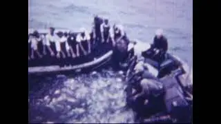 MENHADEN FISHING