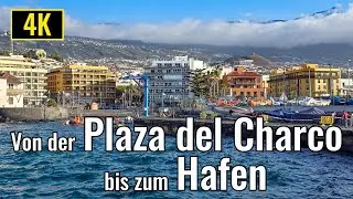 Von der Plaza del Charco zum Hafen - kleiner Rundgang durch Puerto de la Cruz