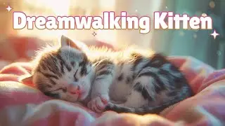 Sleepy Kitten's Peaceful Forest Walk 🌿🐱💤#relaxingcat #foresttherapy #cat #petrelaxation