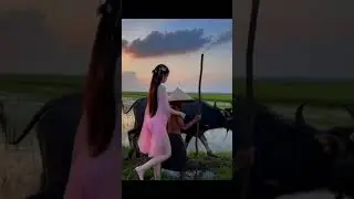 a buffalo boy #shorts #trending #funny