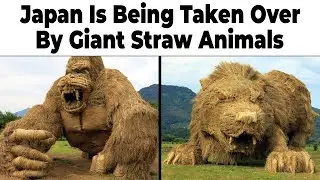 Japan Memes