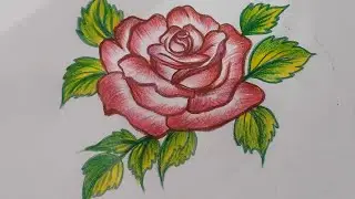 How to make Rose 🌹flower (aqua colour)#flowermaking #flowerdrawing