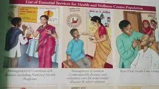 mlhp (cho) main job related?? expepanded range of services 😊