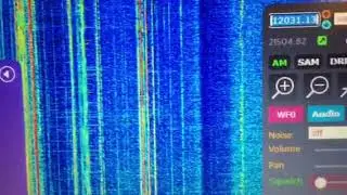 WORLD WIDE  RECEPTION - 1 minute sample VIDEO - 20