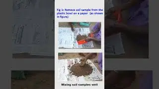 Procedure for Collecting  Representative Soil Samples