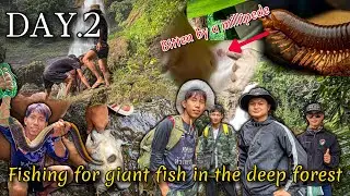 &ldquo;Jungle Adventure Gone Wrong: Bitten by a Millipede! | Giant Fish Hunt at the Waterfall - DAY 2&rdquo;