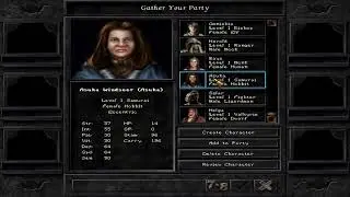 Wizardry 8: Beginners Starting Guide