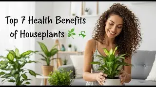 Top 7 Health Benefits of Houseplants 🌿  Why You Need Plants in Your Home!