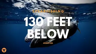 Alchemy Spearfishing | 130ft below