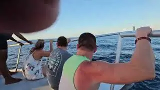 Playing with the dolphins off the coast of St Lucia