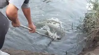 هعرفك تشغل الدور بعد مايمنع