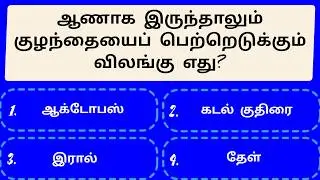 🎓 Tamil GK Quiz | Fun, Education & Facts | Episode 47