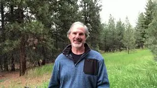 Build My Resilience daily #1 - Zero Point Tai Chi with Jude