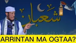 BISHA SHACBAAN… ARRIN AAN CIDNA FILAYN | SHEIKH UMAL