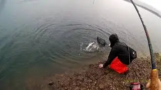 Monster Dolly Varden!
