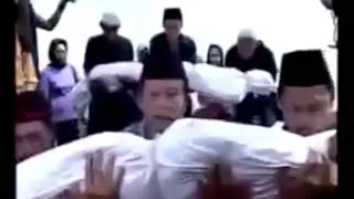 Snakes appear in grave