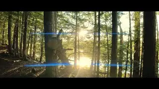 Nature and Music 16: Cinematic Nature Walk and Relaxing Soundscape