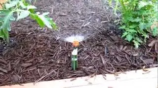 Micro Sprinkler System
