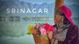 Best places to visit in Srinagar, Kashmir | Dal Lake | Srinagar Sightseeing | Episode 3