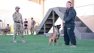 K9 Training, Day 1 - 332d Expeditionary Security Forces Squadron