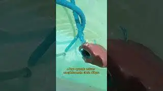aspira&ccedil;ao por meio da gravidade #fy #piscinas #piscineiro #diy #ver&atilde;o2023 #fa&ccedil;avoc&ecirc;mesmo