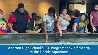 Wharton High School ESE field trip to the Florida Aquarium