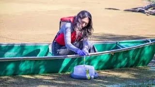 OES: A Leader in Sustainability Education