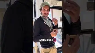 Humans Taste Tasting Dog Cookies