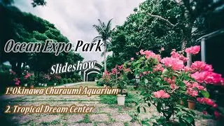 Vlog - Slideshow Okinawa Ocean Expo Park. 1.Churaumi Aquarium, 2.Tropical Dream Center