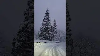 Voltando de Shirakawa a gente derrapou na estrada. #japan #neve #derrapagem