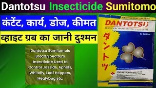 Dantotsu Insecticide Sumitomo।। Dantotsu Insecticide।। Dantotsu Sumitomo।।