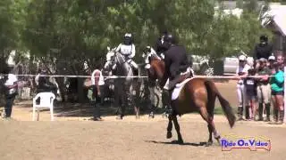 210S Eric Courtney on Baltic Viking SR Beginner Novice Show Jumping Copper Meadows Sept. 2015
