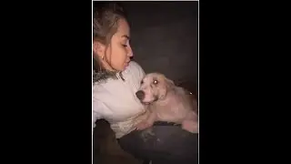 ALL FOR THEM!!! They need more love than from one or two volunteers a day! ВСЁ РАДИ НИХ!!!