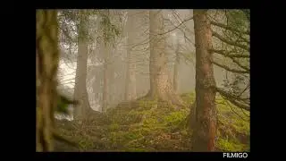 Viaggio mentale per il relax musica e visualizzazioni guidate 
