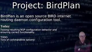 Python, BGP, OSPF and RIP (urg!) with BIRD. Unit testing BGP featureset!