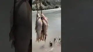 Trout fishing in northern Pakistan