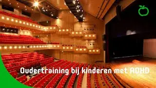 Oudertraining bij kinderen met ADHD (10 dec 2019)