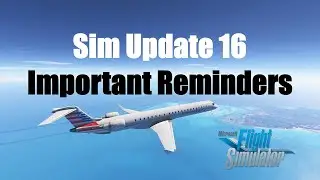 Sim Update 16: Important Reminders | Performance and Graphics