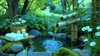 Deep Sleep Piano 🌿 Water Sounds, Meditation, Healing Mind, Stress Relief, Spa Therapy, Calm BGM
