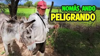 NUESTROS MUERTOS DESPERTARÁN 🎇 y habrá que ayudarles A RECORDARNOS