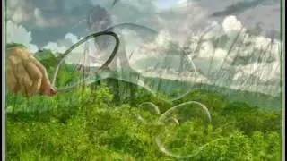 Presuntos Implicados - Bárbara del Campo