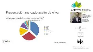 Olivar en seto: Solución sostenible