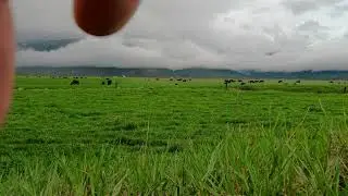 Copeland Valley Storm Gathering