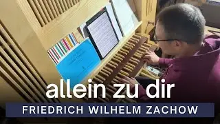 Allein zu dir, Herr Jesu Christ | Friedrich Wilhelm Zachow | Sudovian Organ Workshop