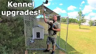 Rugers dog kennel upgrades! #644