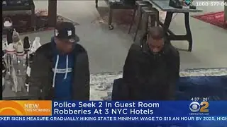 Police Seek 2 In Guest Room Robberies At 3 NYC Hotels