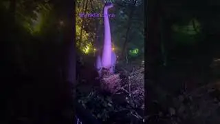 Shanklin chine, isle of wight ,Uk